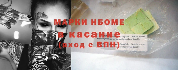 гидра Богородицк