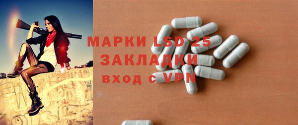 гидра Богородицк