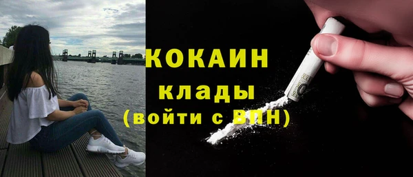 гидра Богородицк