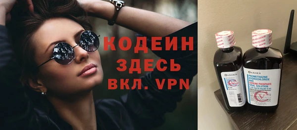 спиды Богданович