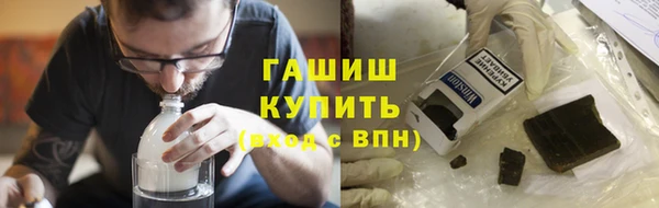 гидра Богородицк