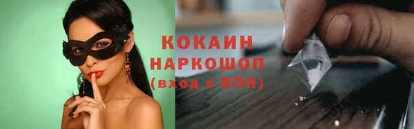 гидра Богородицк