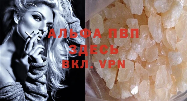спиды Богданович