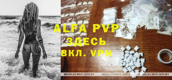 гидра Богородицк