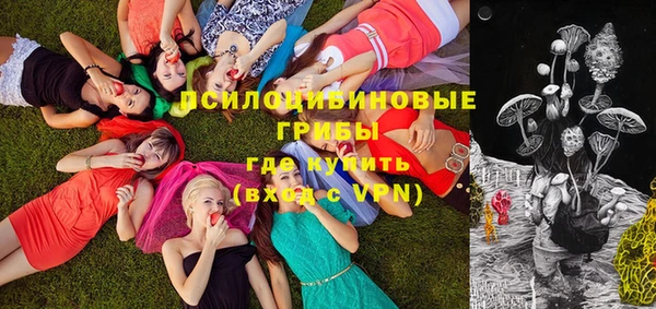 спиды Богданович