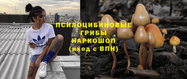 гидра Богородицк