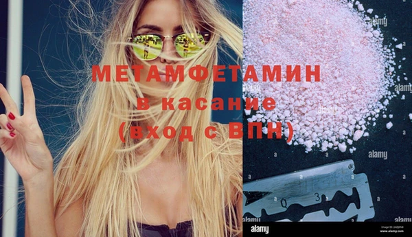 спиды Богданович