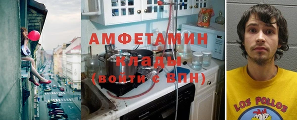 гидра Богородицк