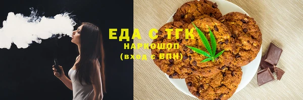 гидра Богородицк
