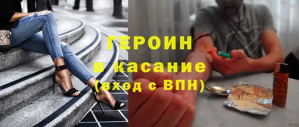 гидра Богородицк